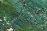 Polished Fuchsite Chert (Dragon Stone) Section - Australia #160364-1